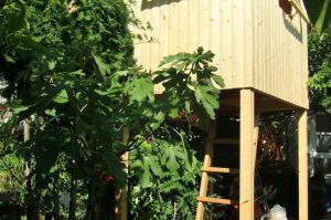 Baumhaus für Kinder im Garten unseres Kunden, ... ein etwas ausgewöhnlicher Auftrag!!